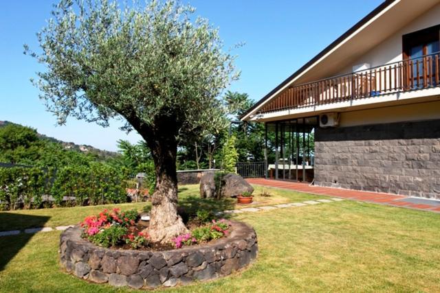 Etna Hut Bed & Breakfast Nicolosi Exterior photo